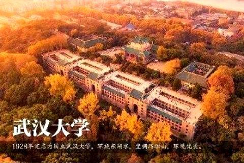 武汉大学-亚搏物业管理平台系统服务案例